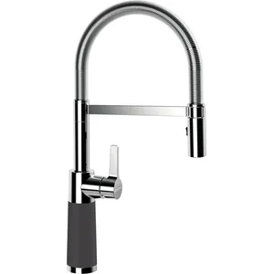 Schock SC-550 Mitigeur de cuisine pivotant, 558000DSK, pas cher