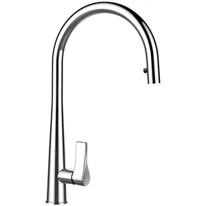 Schock 521000CHR Gota Alta Douchette Chromé pas cher