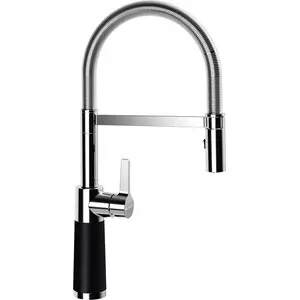 Schock SC-550 Mitigeur de cuisine pivotant, 558000PUR, pas cher