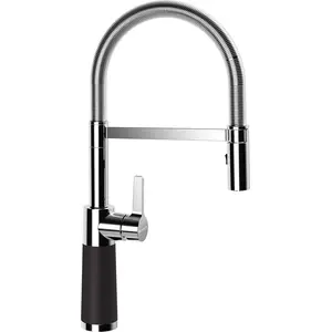Schock SC-550 Mitigeur de cuisine pivotant, 558000GNE,