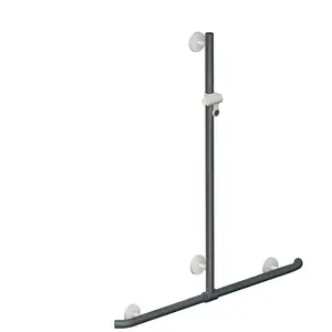 Hewi Universal barre de douche, avec poignée de maintien, 950.35.41091... pas cher