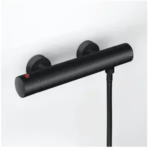 Hewi AQ Mitigeur monocommande, pour douche, AQ1.32T50060 DC, pas cher