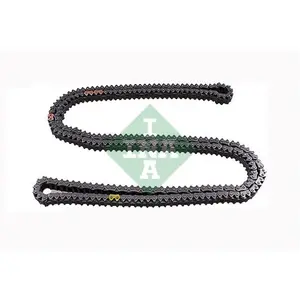Chaîne De Distribution Ford Usa Ina 553038510 pas cher