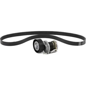 Jeu de courroies trapézoïdales à nervures INA 529 0268 10 pas cher