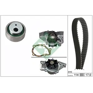 INA Pompe à eau + kit de courroie de distribution 530025831 pas cher
