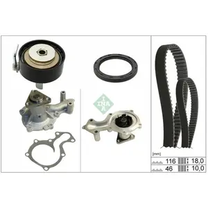 INA 530 0959 30 Pompe à Eau + Kit De Distribution avec pompe à eau pas cher