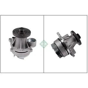 Pompe À Eau, Refroidissement Du Moteur Ina 538089710 Ford pas cher