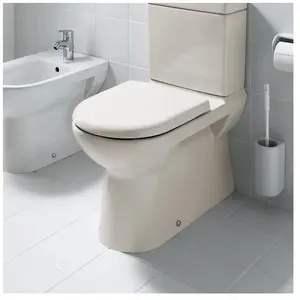 LAUFEN Pro Cuvette au sol version rehaussée, H8249550490001, pas cher