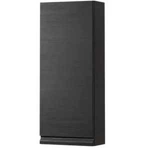LAUFEN Pro S Armoire murale, 1 porte, H4831140954231, pas cher