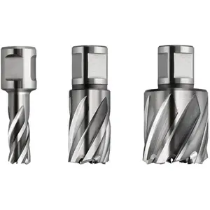 Comparateur de prix : Fein Fein Fraise HSS SPECIAL avec porte-outil Weldon 3/4 in, 17 mm - 63134170301