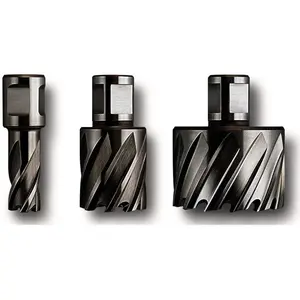 FEIN 63134300301 HSS SPECIAL 25 Carotteuse HSS avec douille Weldon 3/4