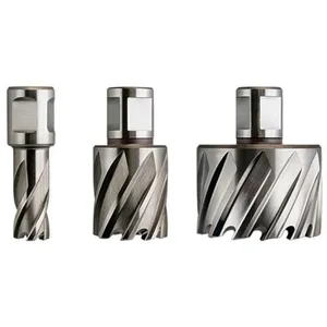 Comparateur de prix : Fraises HSS Nova 25 de diamètre 12mm Weldon - FEIN - 63134350051 TU