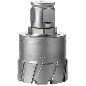 Comparateur de prix : Fp Fein - Fraise hm QuickIn maxø 65x50mm