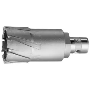 Comparateur de prix : Fein Fraise à pastille carbure - emmanchement Quickin - Ø18 mm - 63127092019