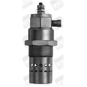 Bougie De Préchauffage Man; Maz-Man Borgwarner Beru Gf529Vendu parpiecesauto.fr
