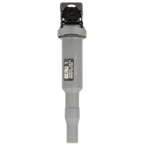 Comparateur de prix : Bobine d'allumage, 12 V BORGWARNER (BERU), par ex. pour BMW