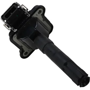 Bobine d'allumage BorgWarner (BERU) ZS016 - Réf. 270ZS016