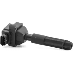 Comparateur de prix : Bobine d'allumage, 12 V BORGWARNER (BERU), par ex. pour Mercedes-Benz