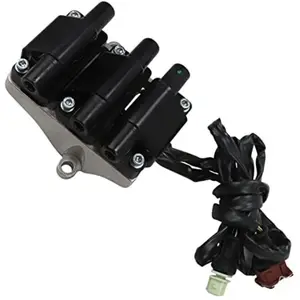Bobine d'allumage, 12 V BORGWARNER (BERU), par ex. pour Audi pas cher