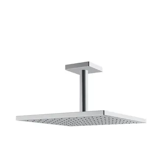 Hansa Viva Set de douche de tête, 1 jet, 04190340, pas cher