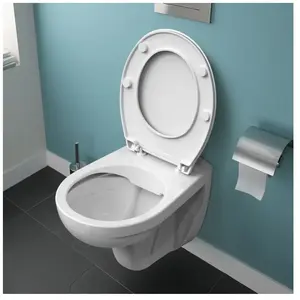 Wc Suspendu, Rimless, Blanc Ideal StandardVendu paramazon