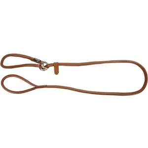 Comparateur de prix : KERBL Roma Laisse avec Collier Intégré pour Chien Cognac 170 cm 8 mm