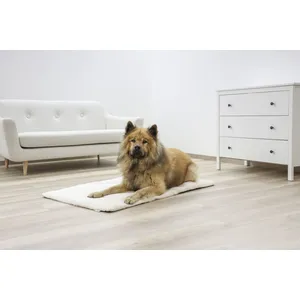 Comparateur de prix : KERBL Coussin Theo auto-chauffant - 75 x 50 x 3 cm - Beige - Pour chien