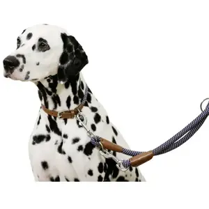 Kerbl Collier Phoenix bleu, 30-40cm, 9mm pas cher