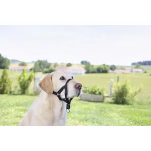Collier d'éducation pour chien Kerbl Maxi Coach Noir 44 cm 83316 pas cher