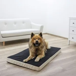 Comparateur de prix : Kerbl Matelas en mousse pour chiens 115 x 75 cm Beige et Gris 80328