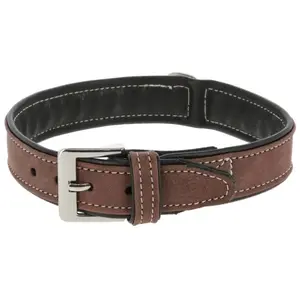 Collier pour chien Kerbl California - brown/marron - 41/47 cm