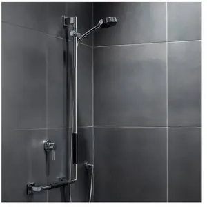 Emco System2 barre de douche, avec poignée de maintien, 357021208,Vendu paramazon