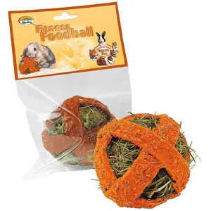 zooplus Quiko Fitness Foodball Carotte 100g - Snack et Jeu pour Oiseaux pas cher