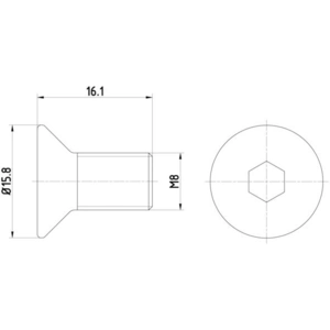 Comparateur de prix : HELLA 8DZ 355 209-061 Vis, disque de frein PAG0006 - 16.1mm - M8x1,25 - héxagonal intérieur