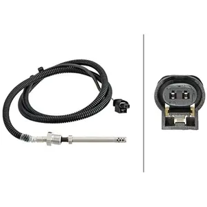 HELLA 6PT 358 181-731 Capteur, température des gaz - 2pôle - vissé - Câble: 1055mm pas cher