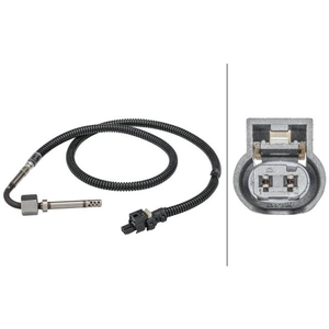 HELLA 6PT 358 181-691 Capteur, température des gaz - 2pôle - vissé - Câble: 675mm pas cher