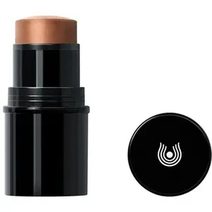 Comparateur de prix : Dr. Hauschka - Lip to Cheek Rouge à lèvres 6.5 g Marron clair unisex