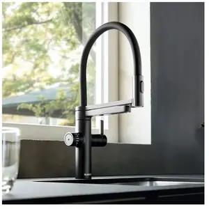 Blanco Evol Mitigeur de cuisine, avec système de filtration, pivotant,...Vendu paramazon