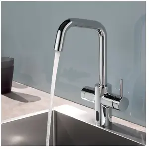 Schell GRANDIS Mitigeur de cuisine, pivotant, 002420699, pas cher