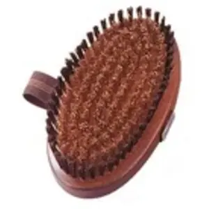 HS - Sprenger Brosse ovale pour chien et chat, qualité supérieure pas cher