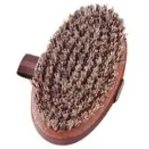 HS - Sprenger Brosse ovale pour chien et chat, qualité supérieure pas cher