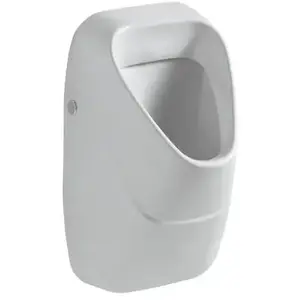Geberit Alivio Urinoir, 238100600, pas cher
