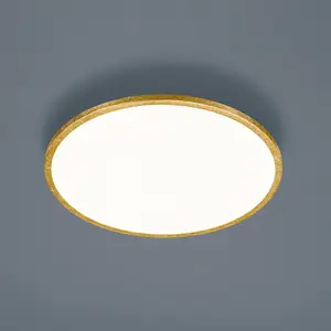 Comparateur de prix : Helestra Rack plafonnier LED dimmable rond doré