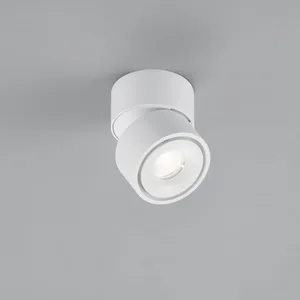 Comparateur de prix : Helestra NAKA Projecteur, LED, 5-5003.07,