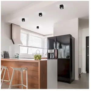 Helestra OSO Projecteur, LED, 15/1552.22, pas cher