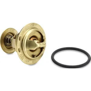 Febi-Bilstein 18292 Thermostat d'eau pas cher