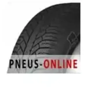 Comparateur de prix : Pneus d'hiver Semperit Master-Grip 2 ( 155/80 R13 79T )