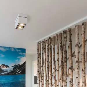 Comparateur de prix : SLV Plafonnier Kardamod, blanc, acier, longueur 31,5 cm, à 2 lampes.