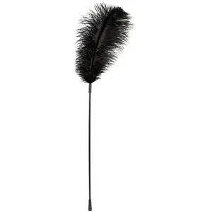 Bad Kitty Plume en Noir pas cher