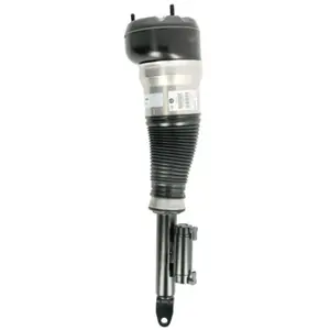 Comparateur de prix : BILSTEIN Amortisseur pneumatique pour MERCEDES-BENZ: Classe S (Ref: 44-239961)